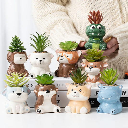 Cartoon Theme Tiny Ceramic Flower Pot